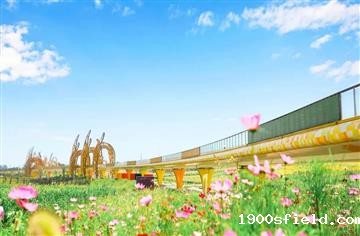 桥梁心动季|国庆去哪儿？来环城生态公园度过悠长假期