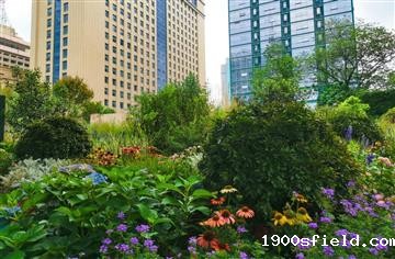 大运有我③|青羊文旅线路风貌提升改造项目：让大运成果可感可及