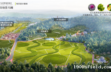 CDAD作品|遂宁云灵里片区乡村振兴建设项目：千亩良田中的“一粒豆事”
